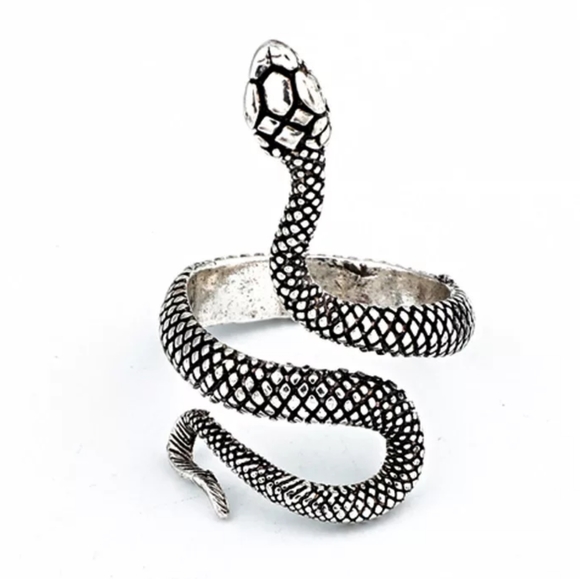 Lakeview Apparel Jewelry - Unique Silver & Black Snake Punk Adjustable Ring